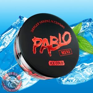Pablo Mini Ice Cold