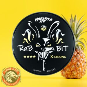 Rabbit Pineapple Ice