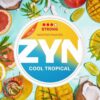 ZYN Cool Tropical
